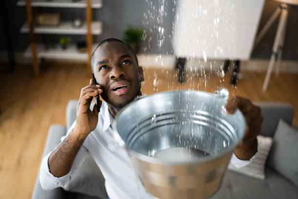 Best Basement water damage restoration  in Urbana, IA