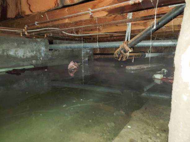 24/7 water damage repair in IA