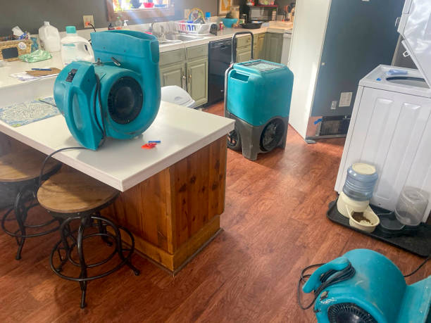 Best Water damage restoration mold remediation  in Urbana, IA