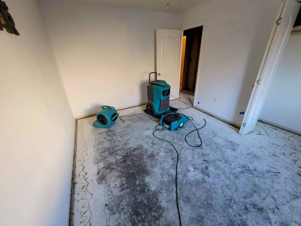 Best Fire Damage Restoration  in Urbana, IA