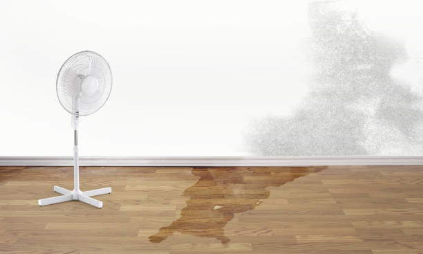 Best Water damage restoration near me  in Urbana, IA