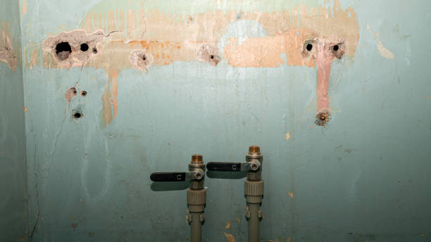 Best Professional water damage repair  in Urbana, IA