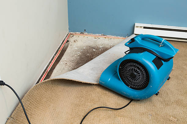 Best 24-hour water damage restoration  in Urbana, IA